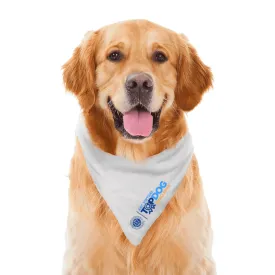 AKC Virtual Top Dog Challenge Dog Bandana