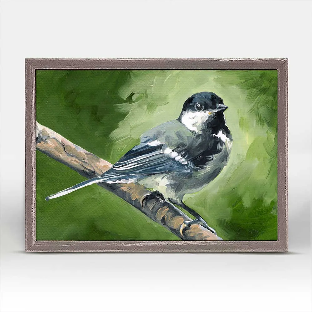 Avian Spotlight - Black Capped Fledge Mini Framed Canvas