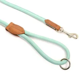 Dogs & Horses Soft Rolled Leather Leads Aqua